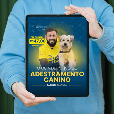 Curso online adestramento de cães