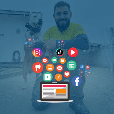 Os melhores conteúdos e dicas para quem tem cachorro