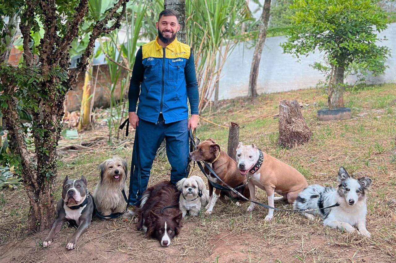 Adestrador de cães em São José SC