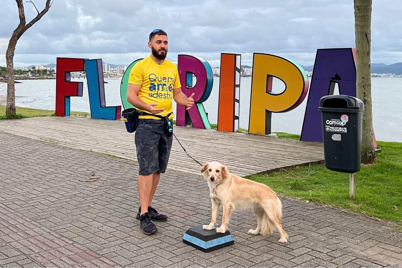 Quanto custa adestrar um cão em Florianópolis?