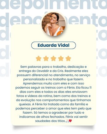 Clientes dizem ser a melhor escola de adestramento de cães