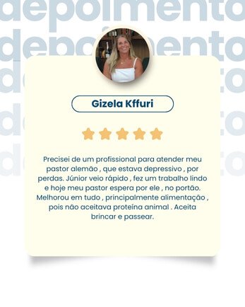 qual a melhor escola de adestramento de cães de são josé