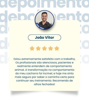 qual a melhor escola de adestramento de cães de biguaçu