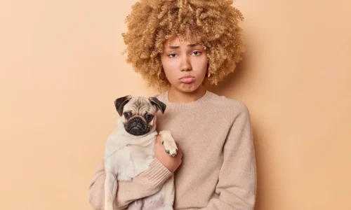 Adestramento punitivo o que é