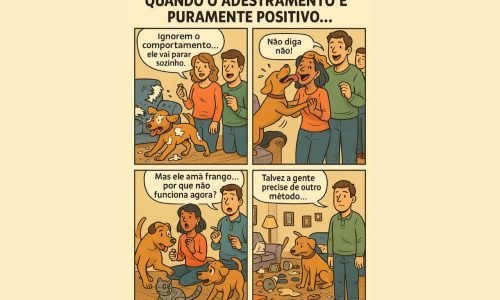 adestrar só com positivo