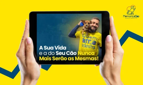 Como saber se o adestrador é bom ou não