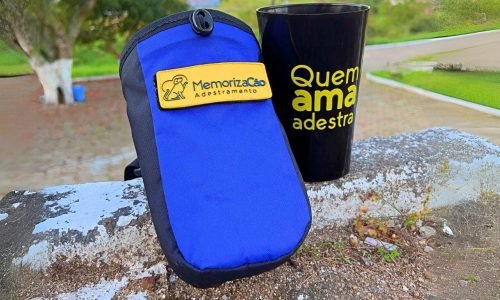 Como levar petiscos nos treinamento com cachorro